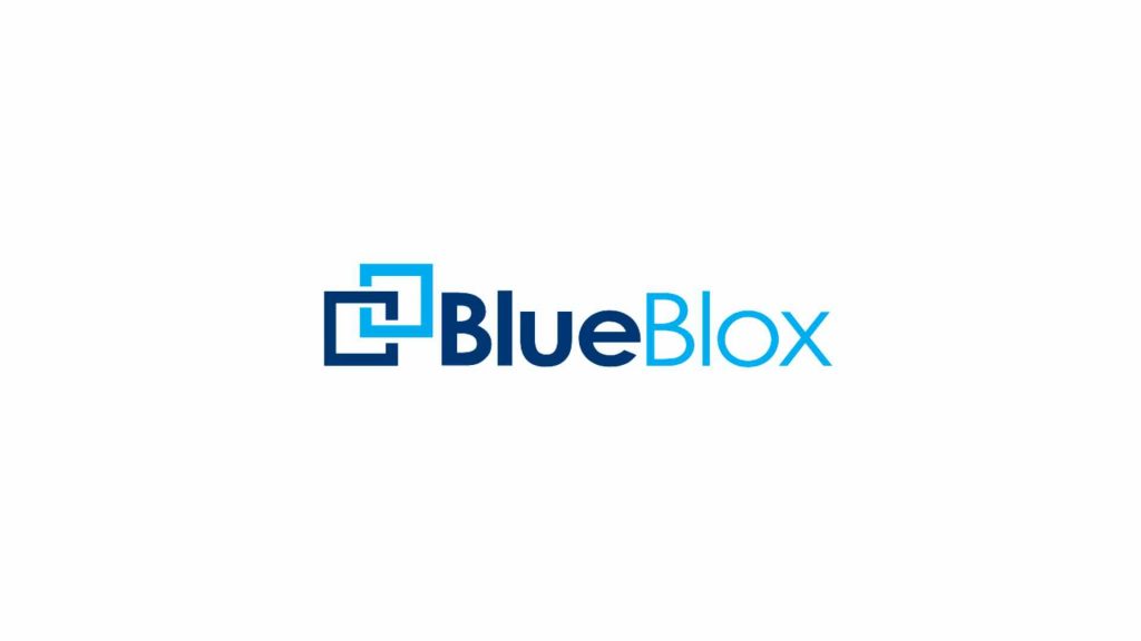 Bluebox website development - marchio - 226 lab marketing agency - switzerland - italia